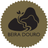 BEIRA-DOURO – ASSOCIAÇÃO DE DESENVOLVIMENTO DO VALE DO DOURO