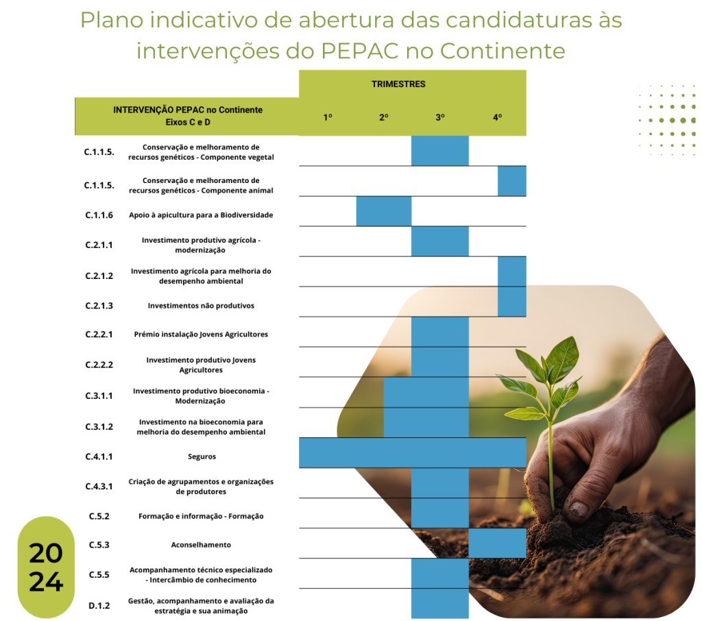 Plano indicativo de abertura das candidaturas às intervenções do PEPAC no Continente.
